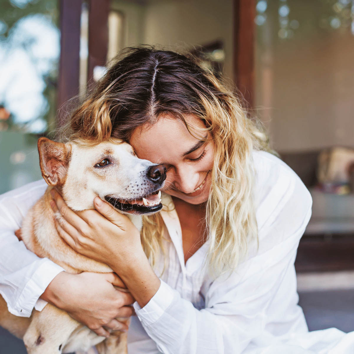 Trusted pet sitter caring for a dog at home