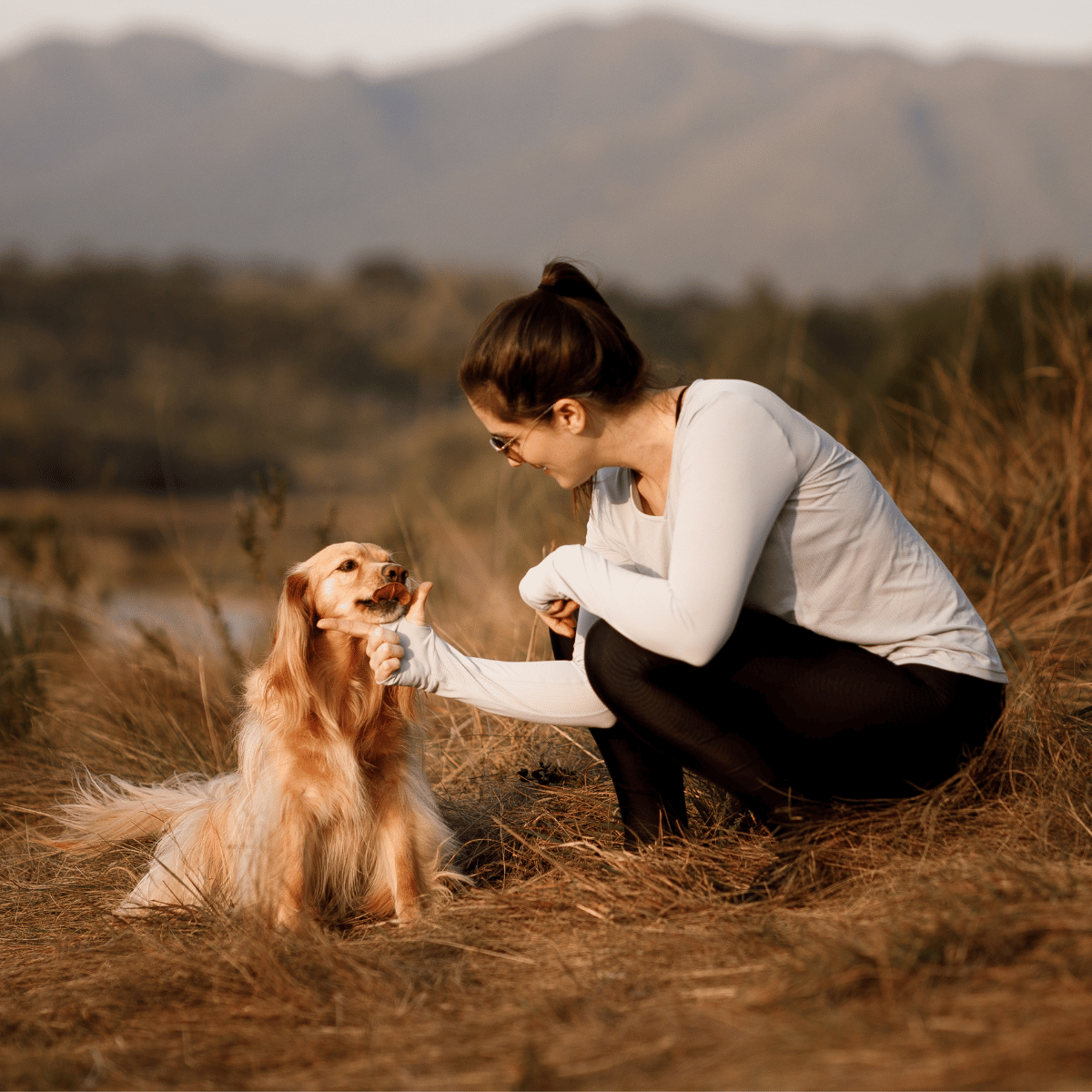About Vacay Sitters - trusted pet care team