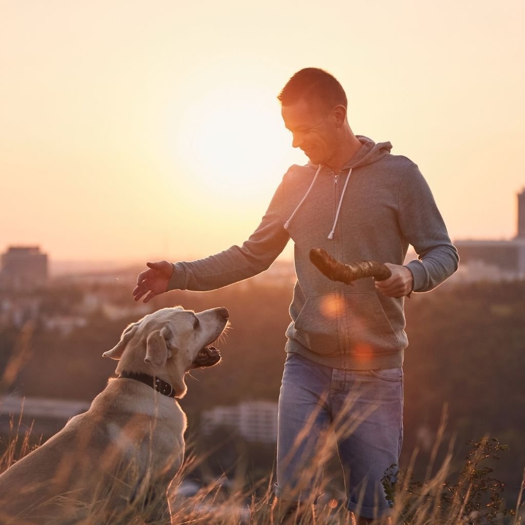 Vacay Sitters Blog - pet care guides and tips