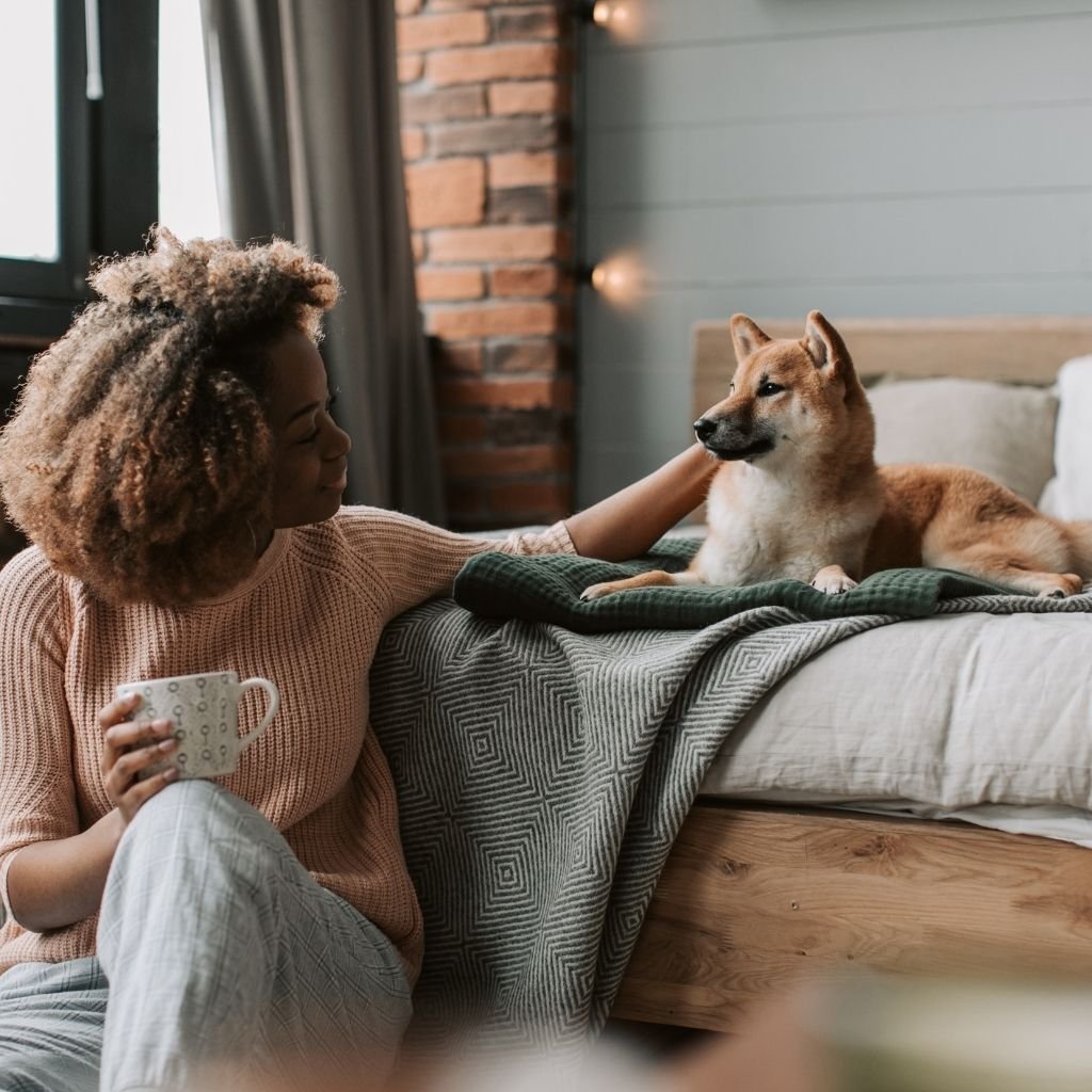 Pet sitting at home with a trusted Vacay Sitters sitter